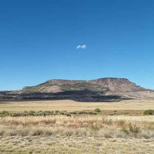 Meet your Posher, Dalton